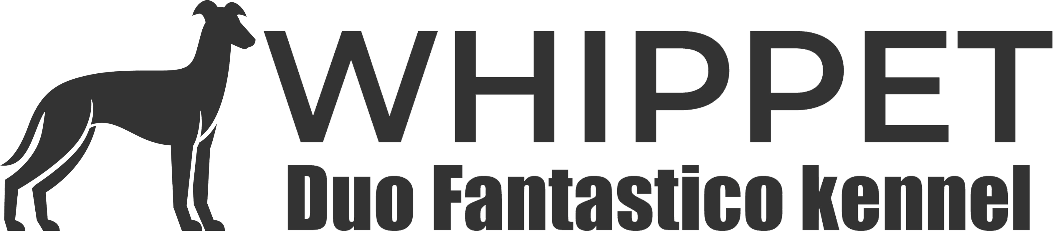 DuoFantastico Whippet kennel - Kistelek